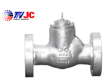 CHECK VALVES - PRESSURE SEAL