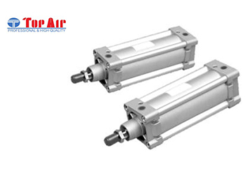 DZ (Large size aluminium extruded body air cylinder)